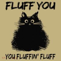Fluff You You Fluffin Fluff Funny Cat Kitten Hoodie thumb 7