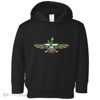 Faravahar Zarathustra Zoroastrian Farohar Iran Flag Toddler Hoodie thumb 0