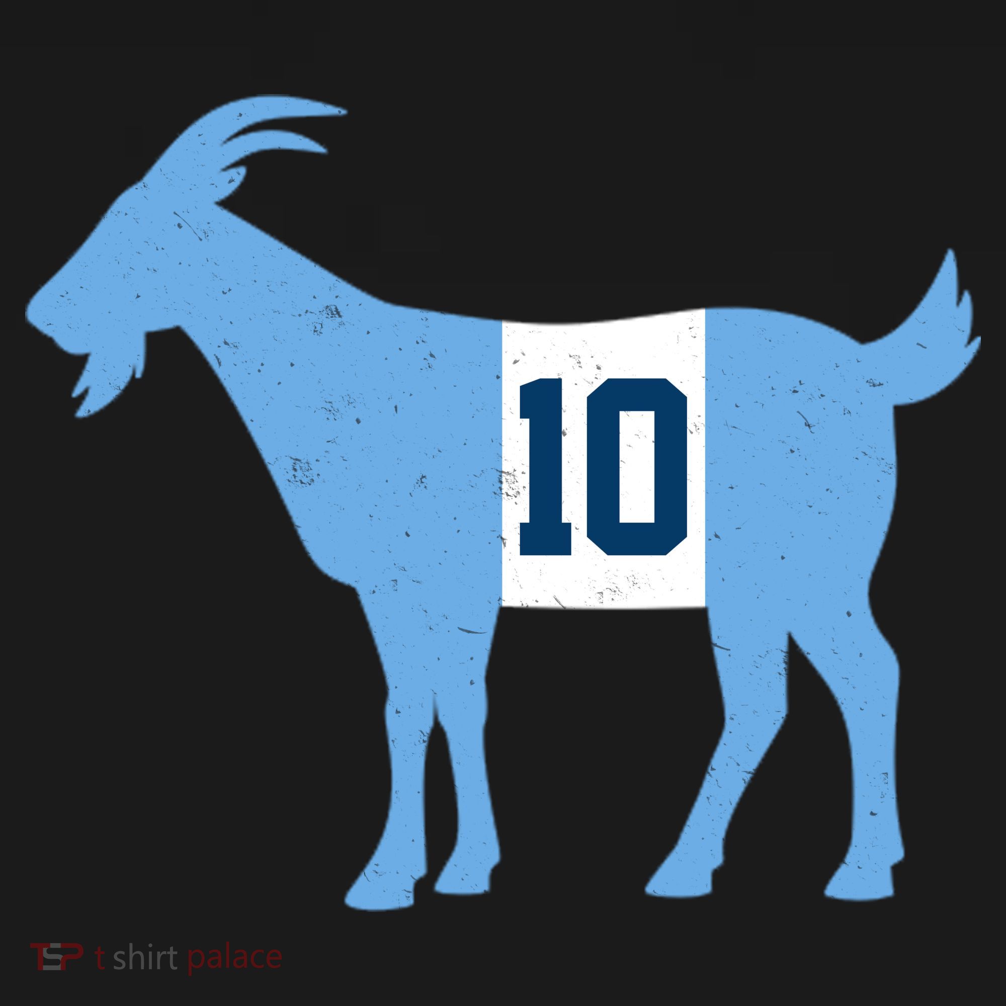 Messi Goat #10 Argentina Soccer Ornament