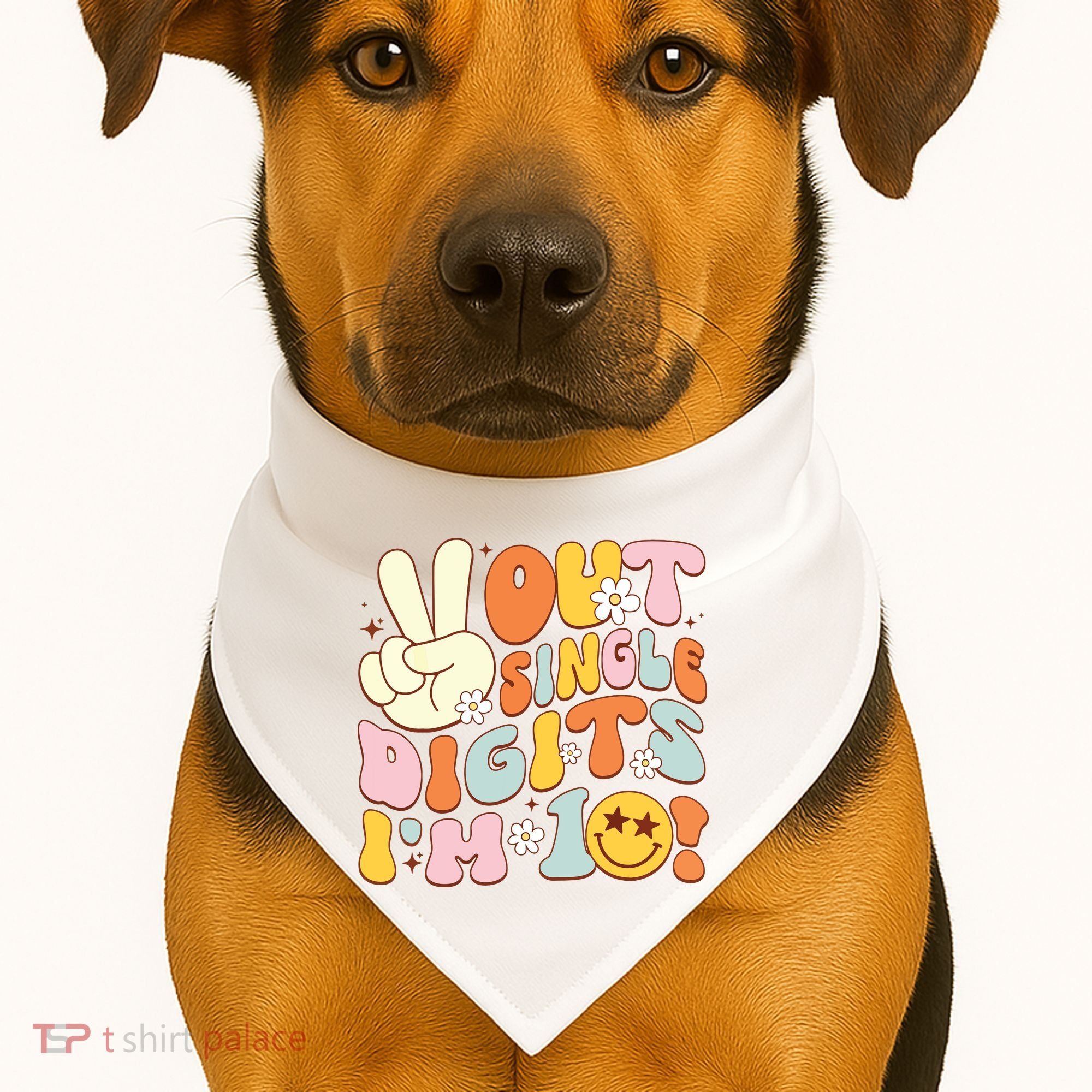 Groovy 10th Birthday Girl Peace Out Single Digits IM 10 USA-Made Doggie Bandana