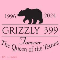 Grizzly 399 In Memory Of Bear Coaster thumb 2