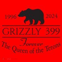 Grizzly 399 In Memory Of Bear Santa Hat thumb 1