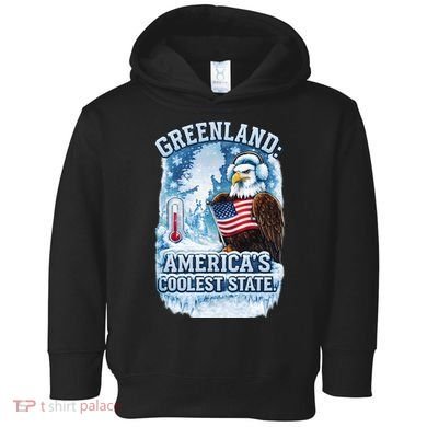 Greenland 51st America's Coolest State Toddler Hoodie