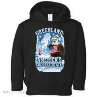 Greenland 51st America's Coolest State Toddler Hoodie thumb 0