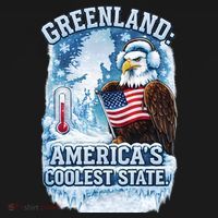 Greenland 51st America's Coolest State Toddler Hoodie thumb 2