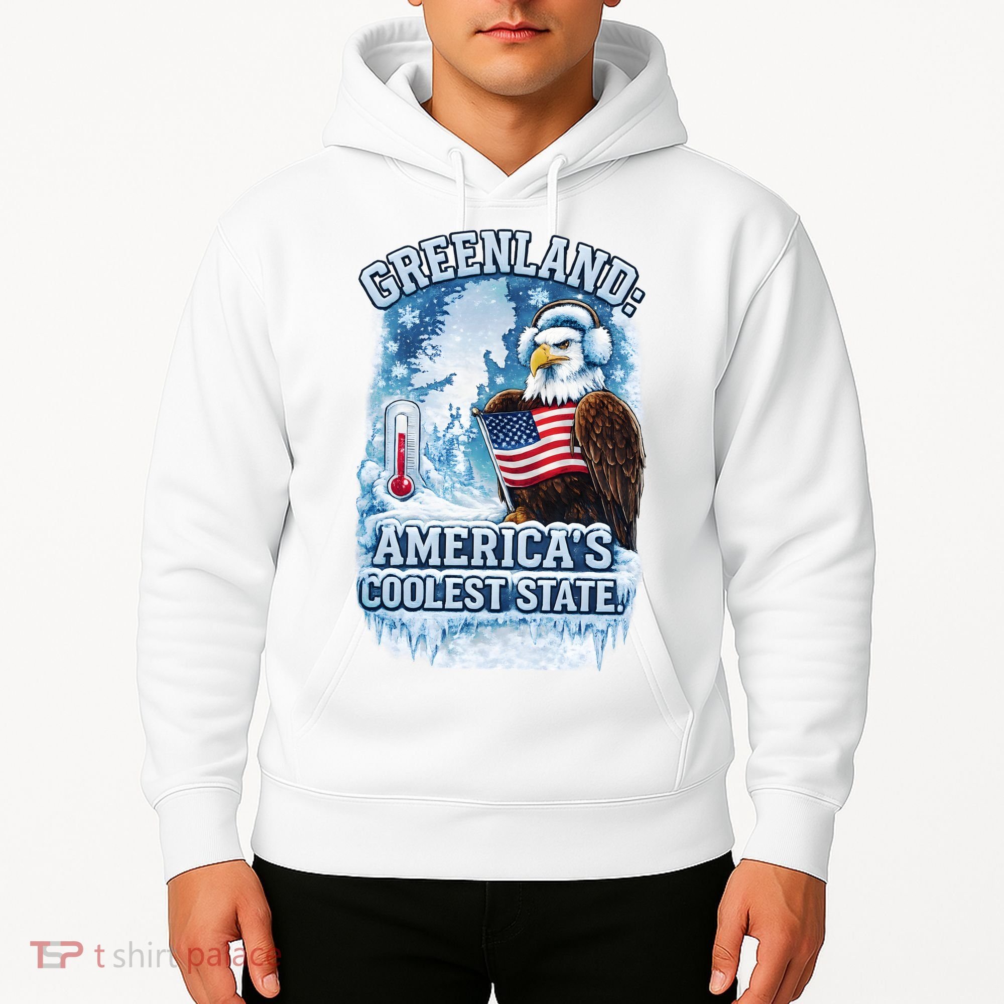 Greenland 51st America's Coolest State Hoodie