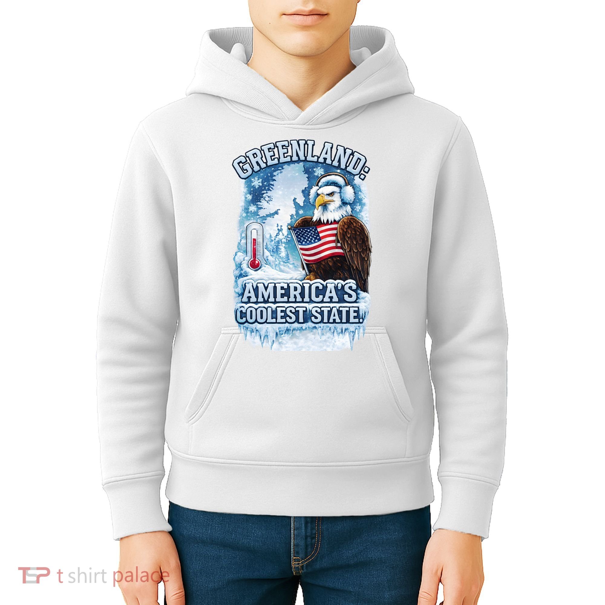 Greenland 51st America's Coolest State Kids Hoodie