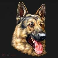 German Shepherd Face Doggie Tank thumb 4