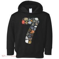 Geology 7 Years Old Rock Collecting 7th Birthday Toddler Hoodie thumb 0