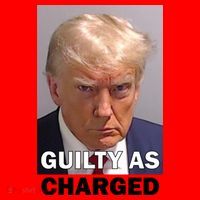 Guilty As Charge Trump Mugshot Santa Hat thumb 1