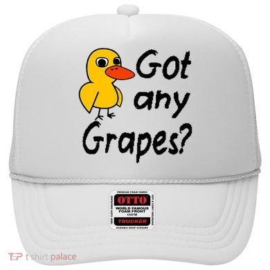 Got Any Grapes The Duck Song Hat