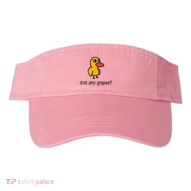 Visor
