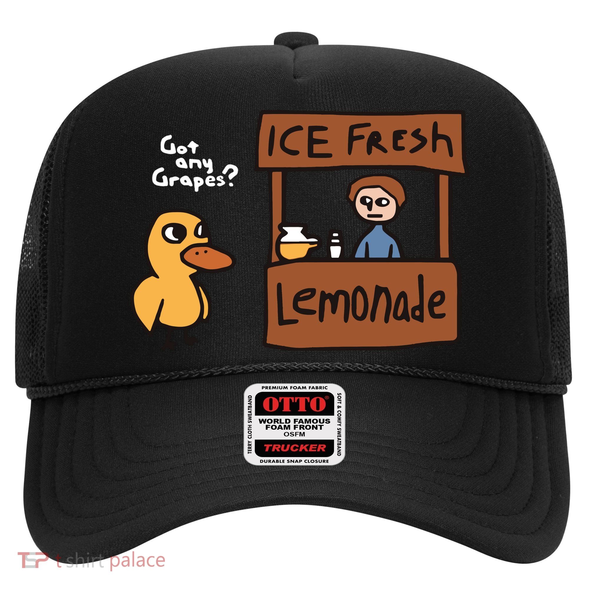 Got Any Grapes The Duck Song Funny Duck Hat