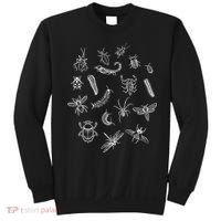 Goblincore Aesthetic Insects Entomology Bugs Sweatshirt thumb 0