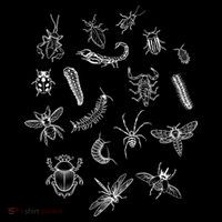 Goblincore Aesthetic Insects Entomology Bugs Sweatshirt thumb 3