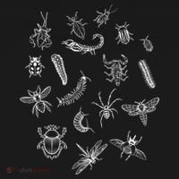 Goblincore Aesthetic Insects Entomology Bugs Tall T-Shirt thumb 4