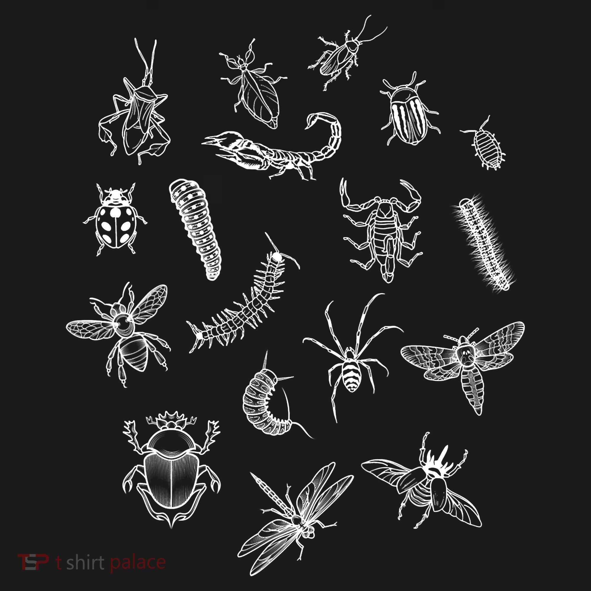 Goblincore Aesthetic Insects Entomology Bugs Visor