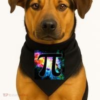 Galactic Pi Galaxy Infinity USA-Made Doggie Bandana thumb 1