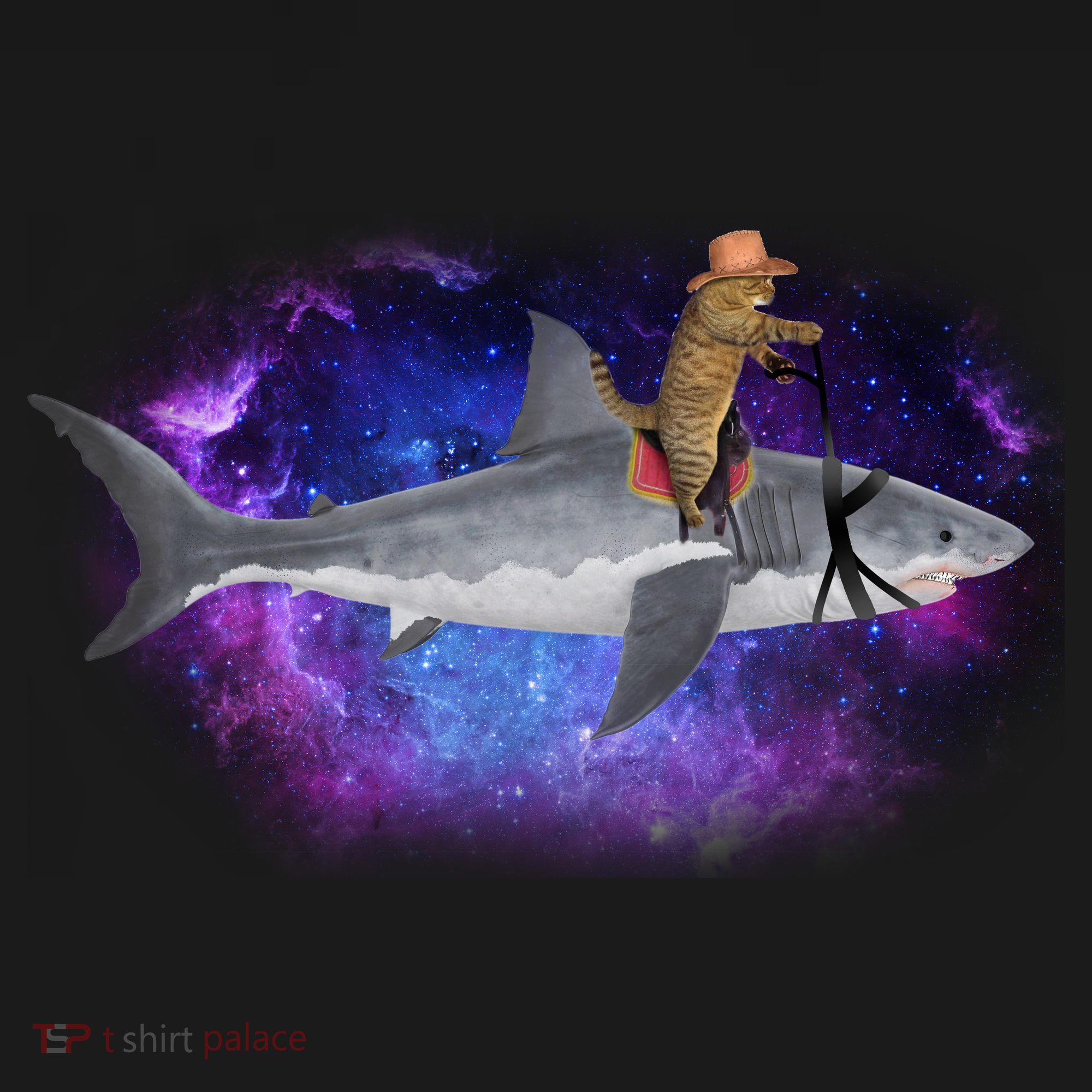 Galaxy Cat Riding Shark T-Shirt