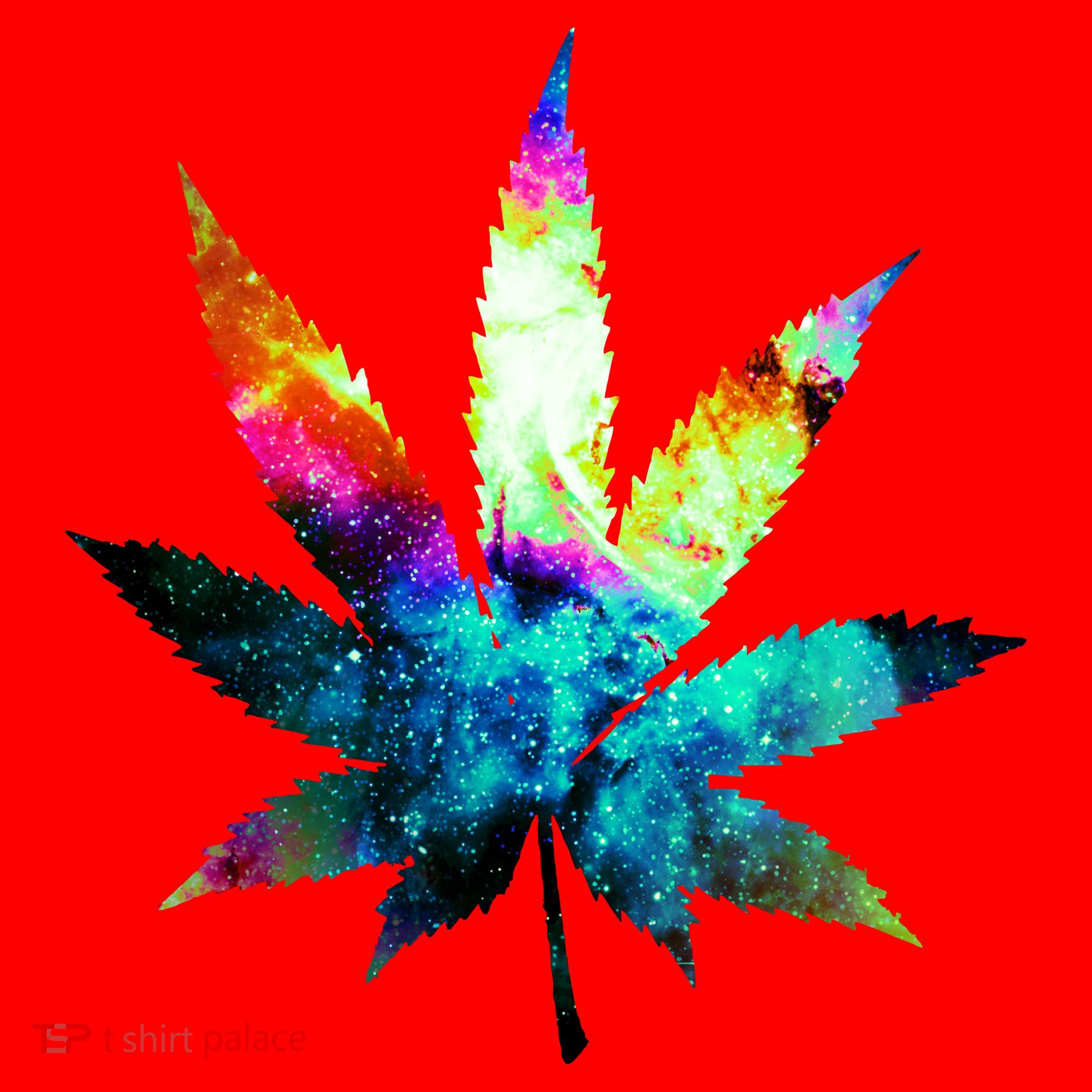 Galaxy Kush In Space Weed Santa Hat