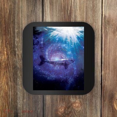 Galaxy Shark Underwater Coaster