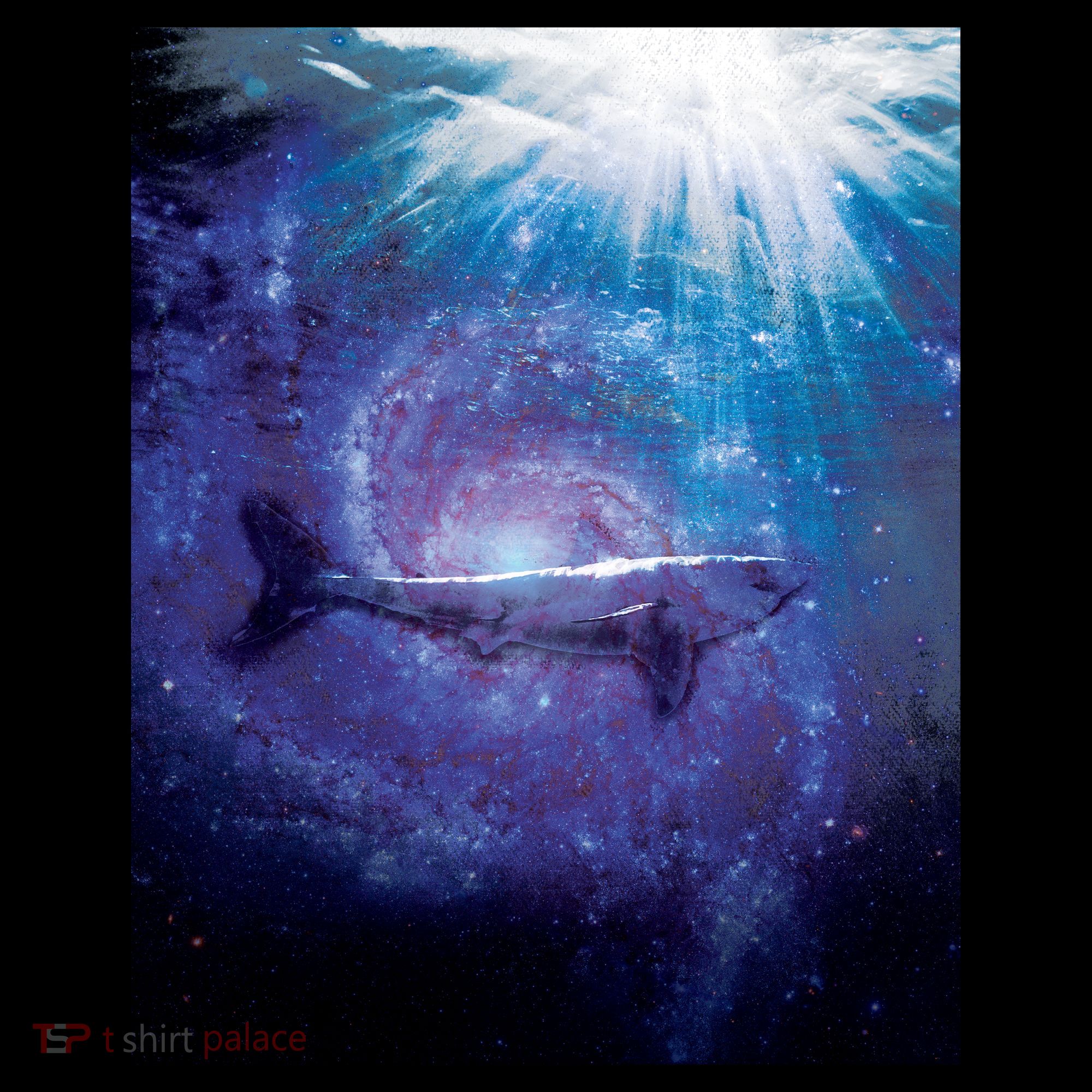 Galaxy Shark Underwater Coaster