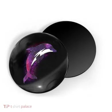 Magnet