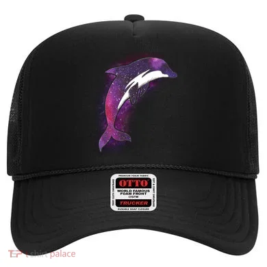 Galaxy Stars Dolphin Hat