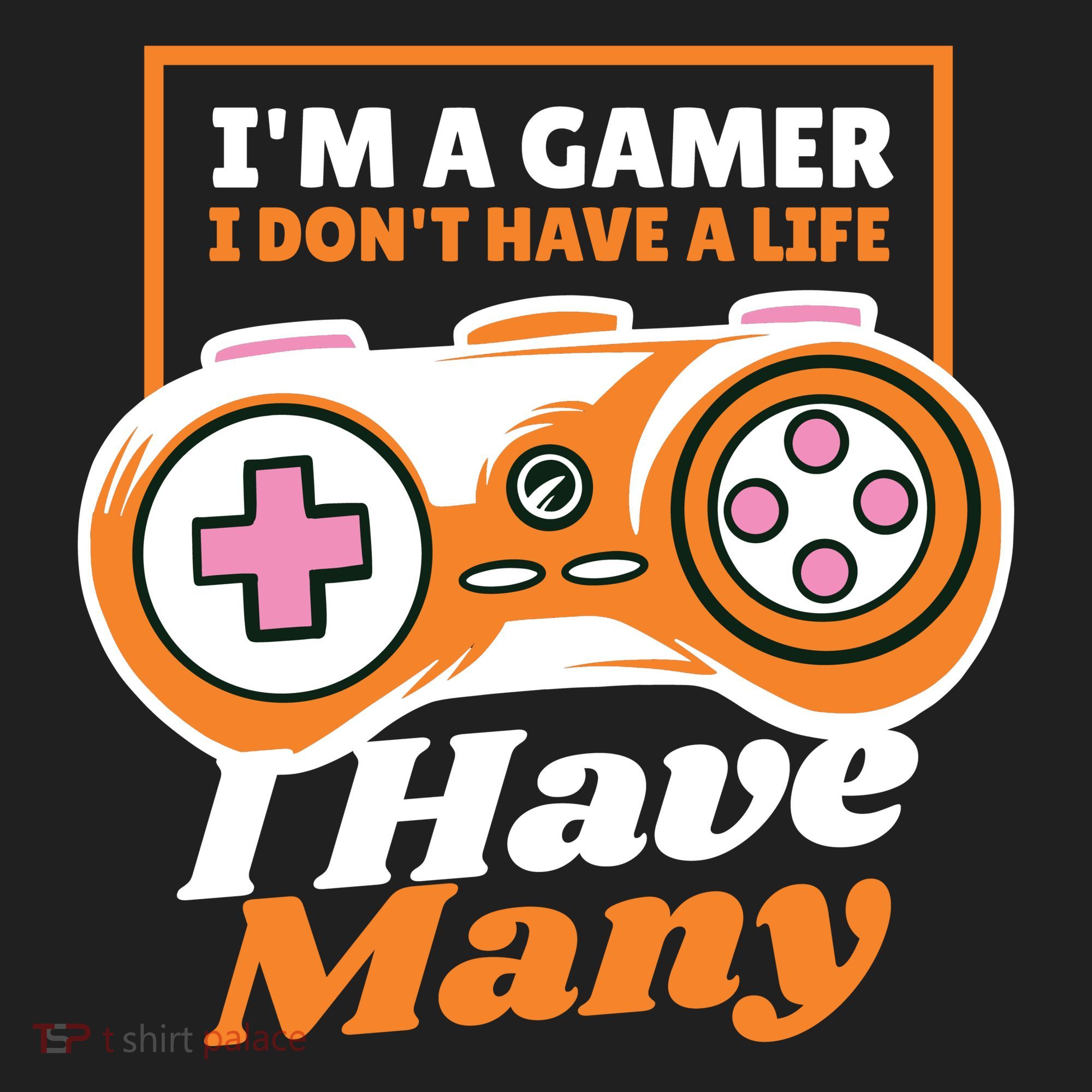 Gamer I Don't Have A Life I Have Many Tumbler