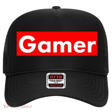 Gamer Logo Hat
