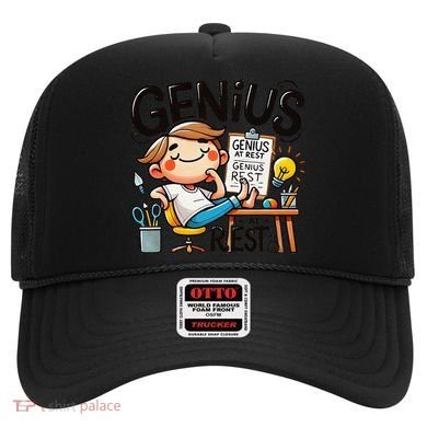 Genius At Rest Funny Hat