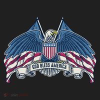 God Bless America Patriotic American Eagle USA Flag Beanie thumb 2
