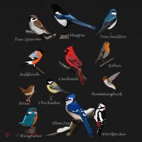 Garden Birds Cardinal Blue Jay Hummingbird Robin Wren Finch Women's Hoodie thumb 2