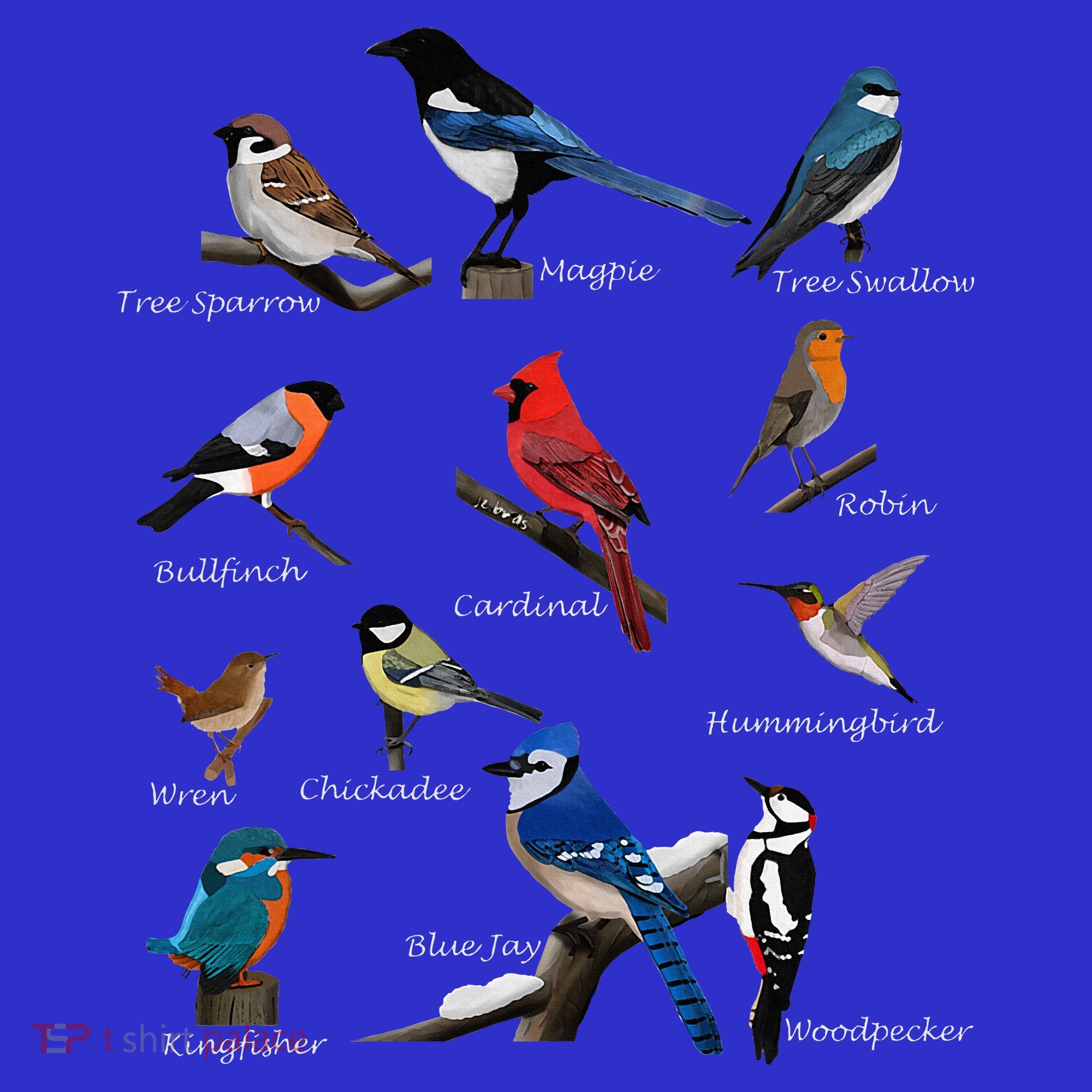 Garden Birds Cardinal Blue Jay Hummingbird Robin Wren Finch T-Shirt