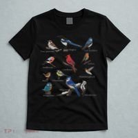 Garden Birds Cardinal Blue Jay Hummingbird Robin Wren Finch T-Shirt thumb 5