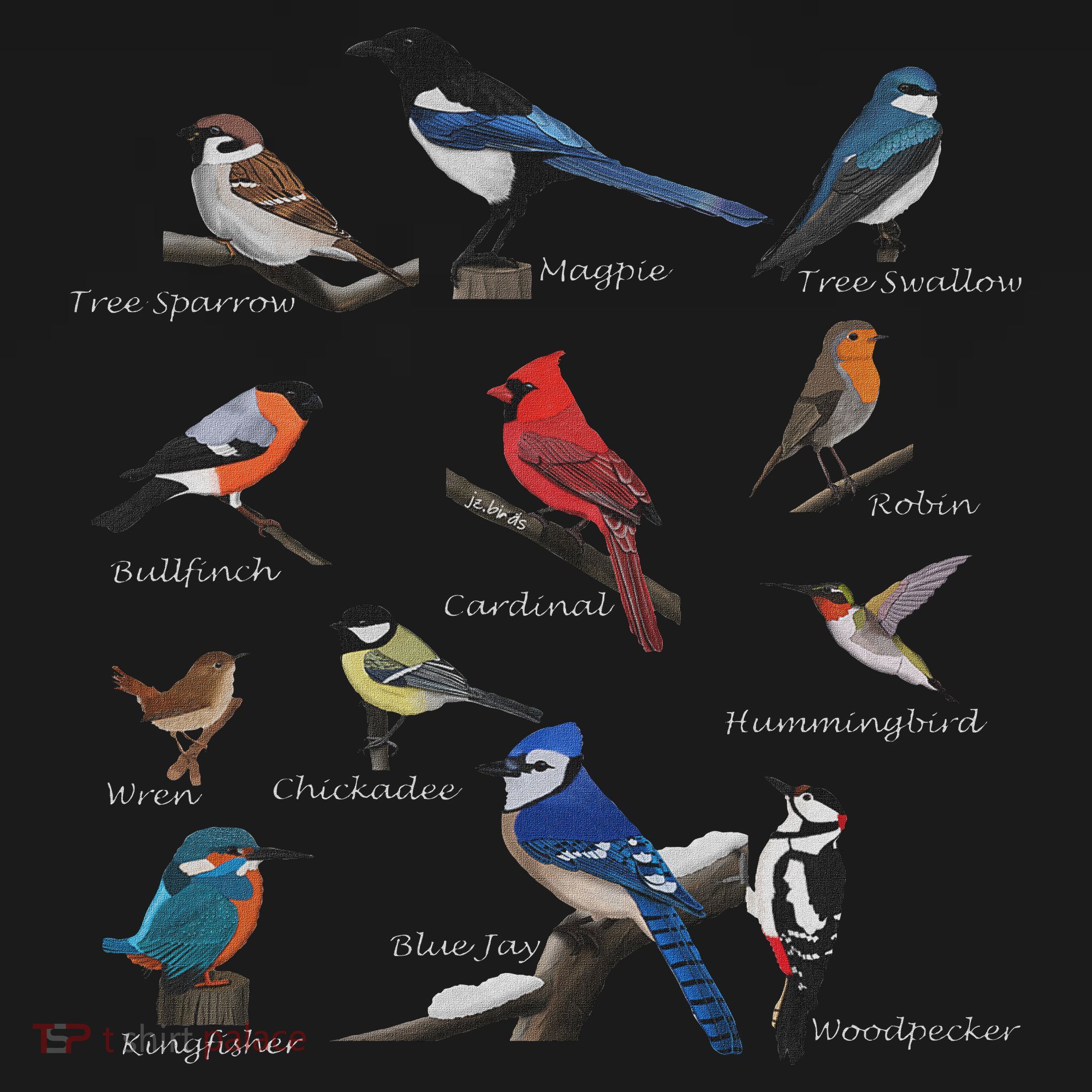 Garden Birds Cardinal Blue Jay Hummingbird Robin Wren Finch Women's Tank Top