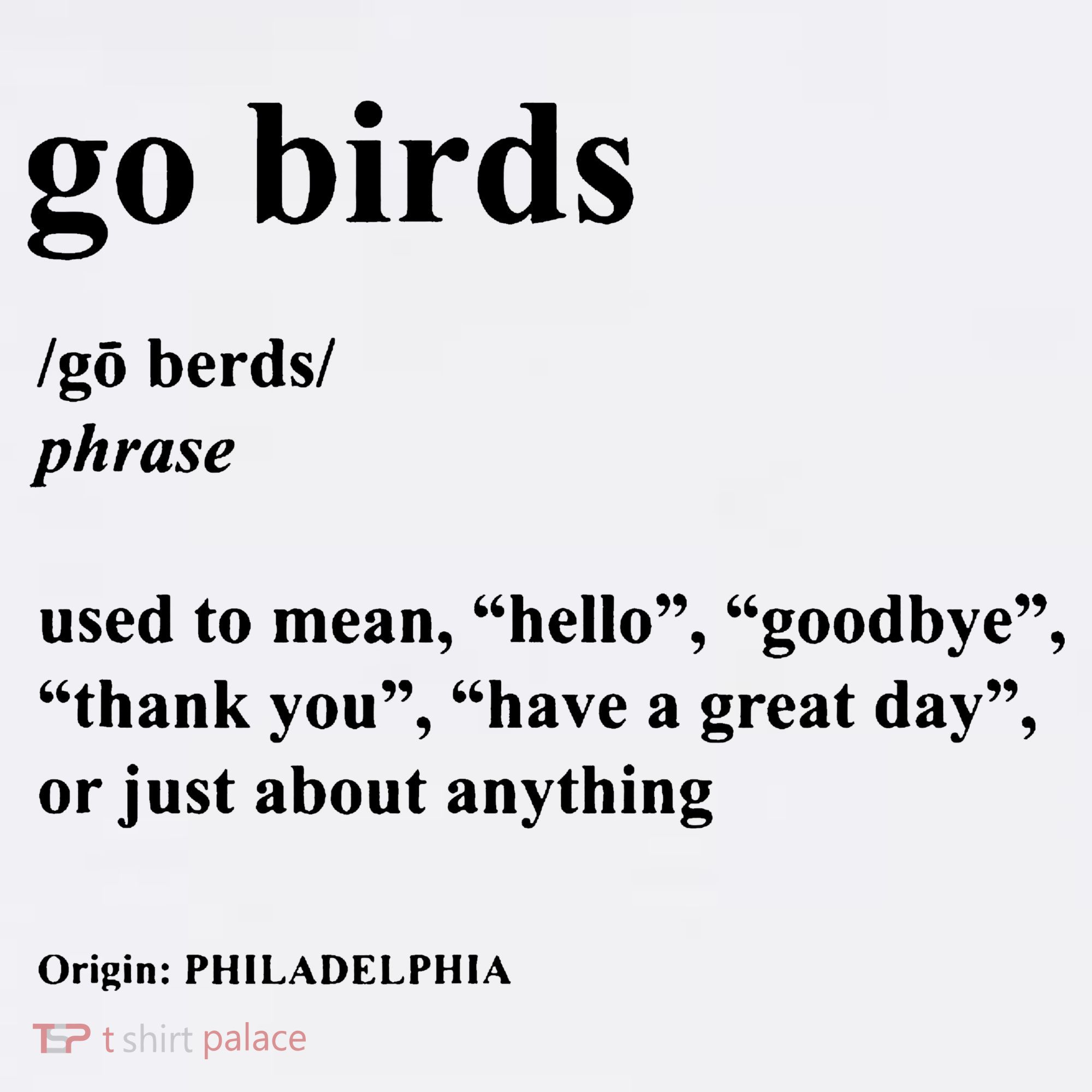 Go Birds Definition Philadelphia Football Beanie