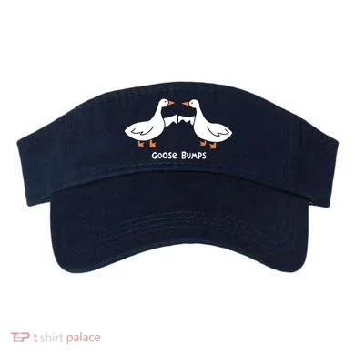 Visor
