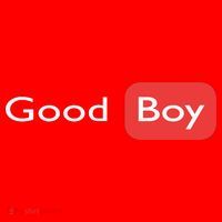 Good Boy Funny Saying Sarcastic Novelty Humor Cute Cool Santa Hat thumb 1