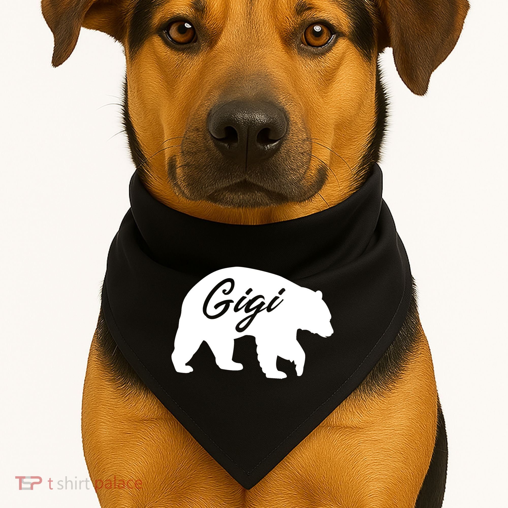Gigi Bear USA-Made Doggie Bandana