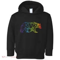 Geometric Bear Lgb Rainbow Flag Toddler Hoodie thumb 0