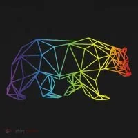 Geometric Bear Lgb Rainbow Flag Women's T-Shirt thumb 6