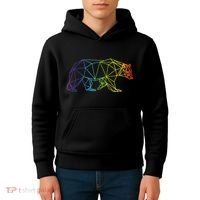 Geometric Bear Lgb Rainbow Flag Kids Hoodie thumb 4