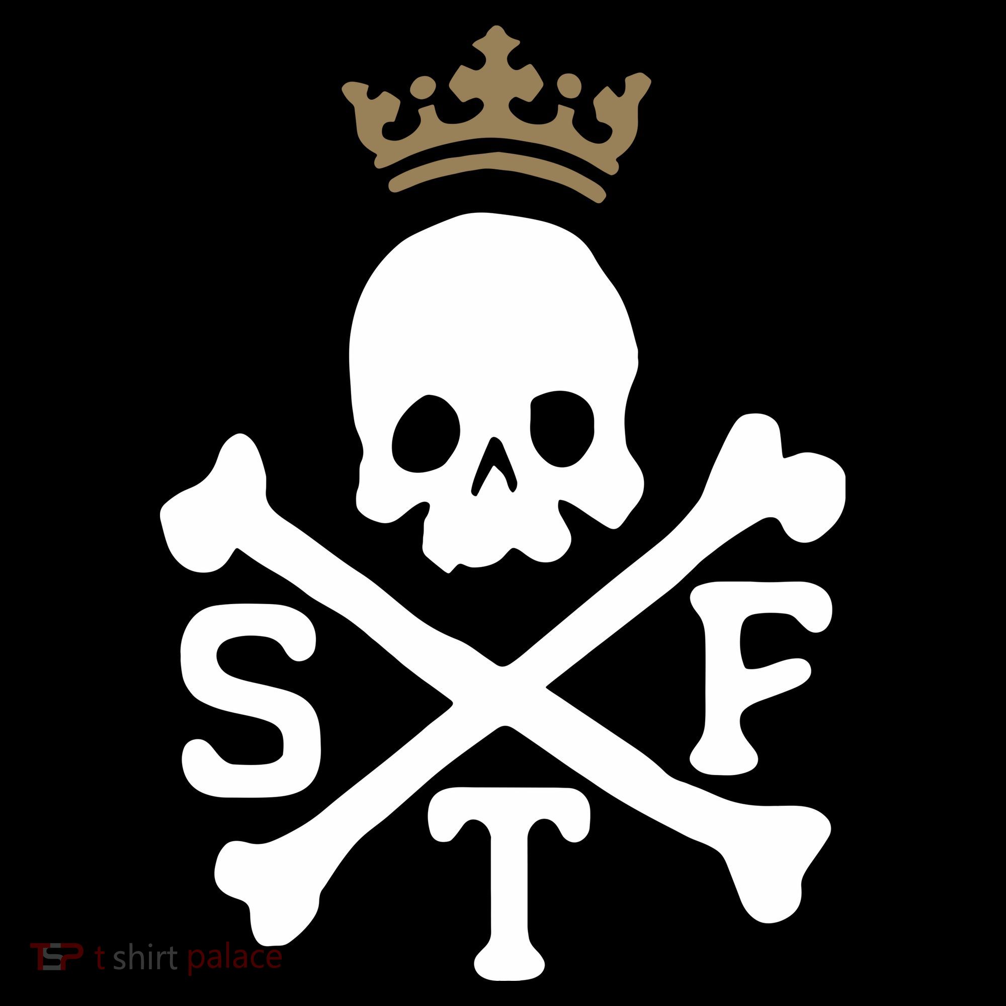 Glenn Beck Stf Skull & Bones Kids T-Shirt