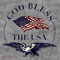 God Bless The Usa Toddler Hoodie thumb 2
