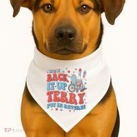 Groovy Back Up Terry Firework Fun USA-Made Doggie Bandana thumb 1