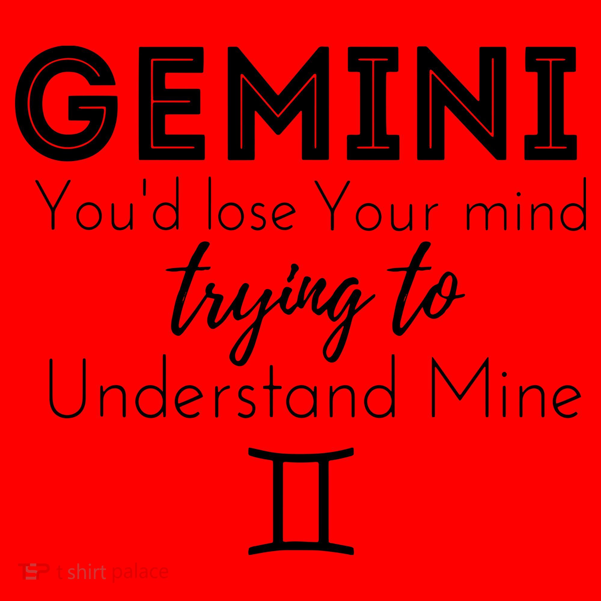 Gemini Birthday Youd Lose Trying To Understand Mine Santa Hat