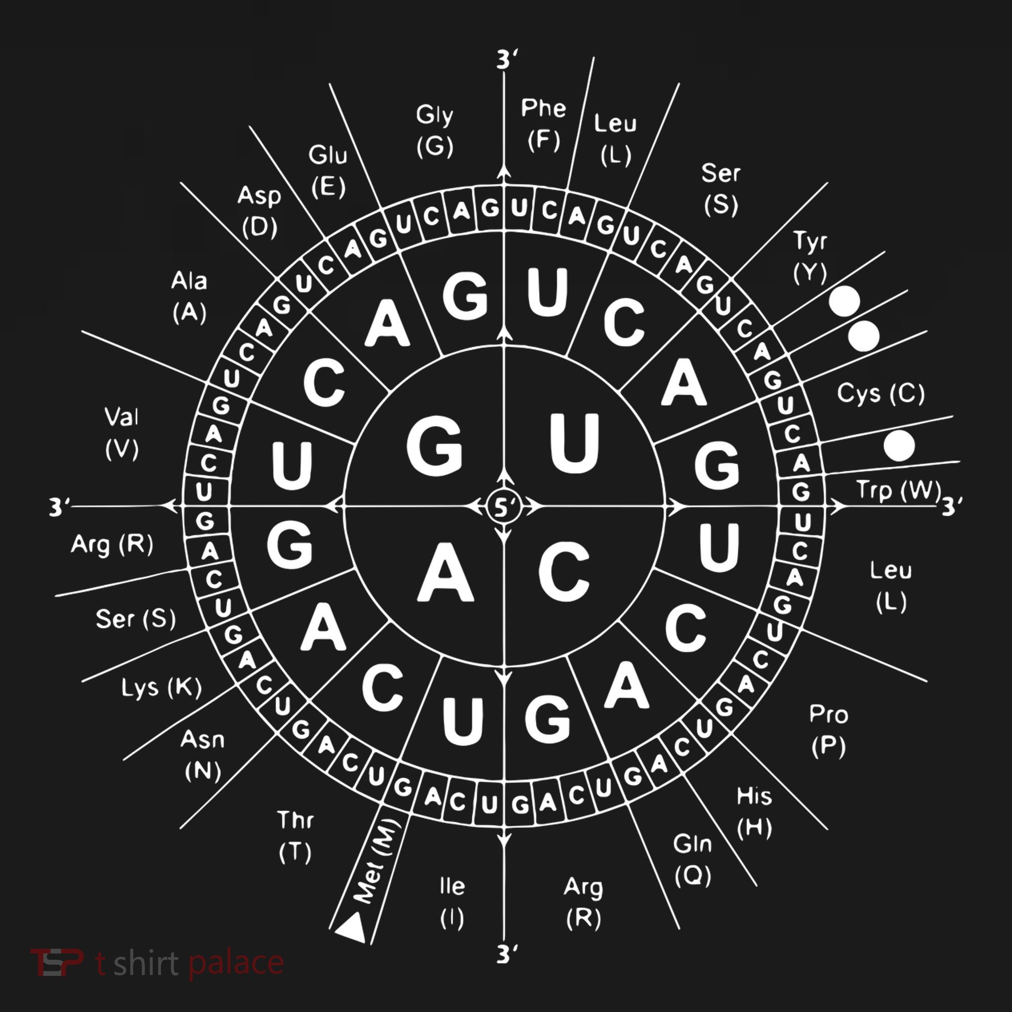 Genetic Code Biology Sweatshirt