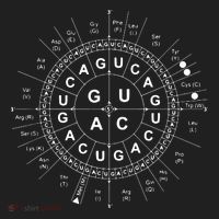 Genetic Code Biology Beanie thumb 2