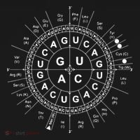 Genetic Code Biology Tank Top thumb 6